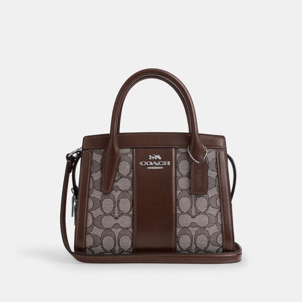 Coach Brown and Tan Travel Bag